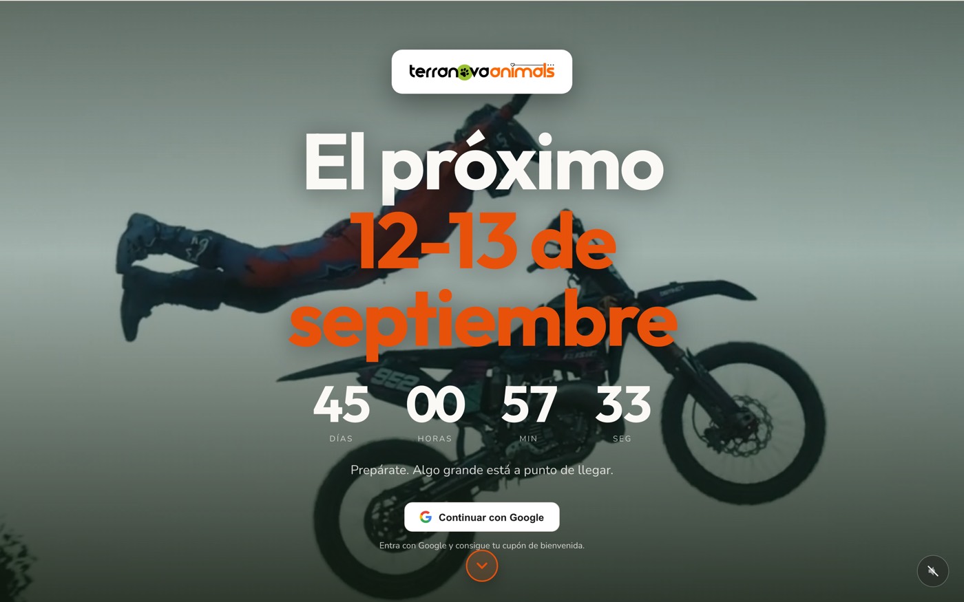 Captura de la web de Terranova Animals
